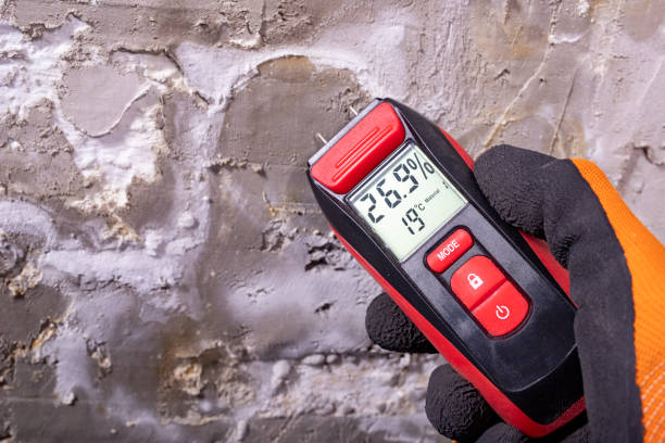 Best Mold Inspection  in Emerson, NJ