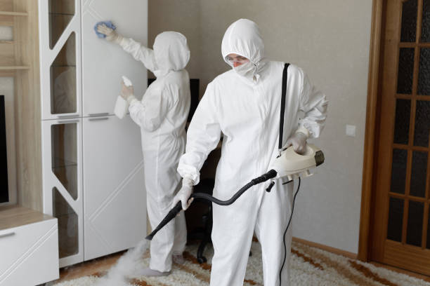 Best Mold Removal and Inspection  in Emerson, NJ