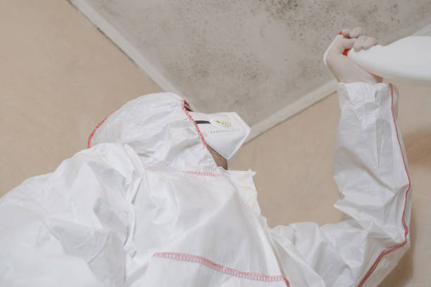 Best Affordable Mold Removal  in Emerson, NJ